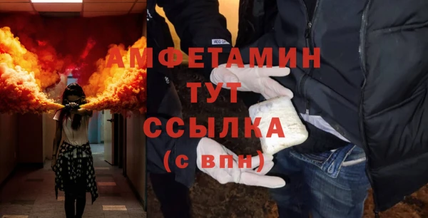 сатива Дмитриев