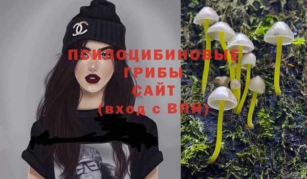MDMA Premium VHQ Дмитровск
