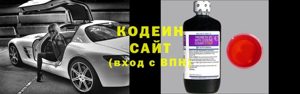 сатива Дмитриев