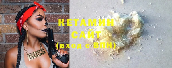 сатива Дмитриев