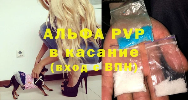 сатива Дмитриев