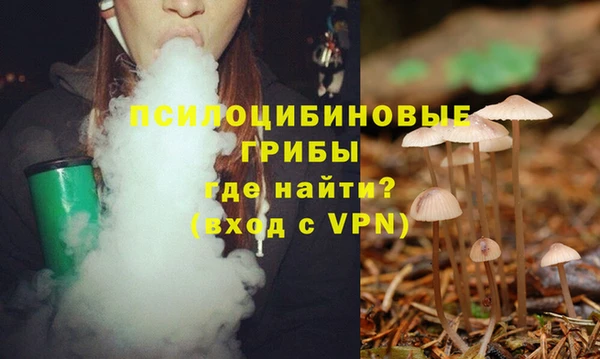 MDMA Premium VHQ Дмитровск