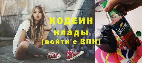 сатива Дмитриев