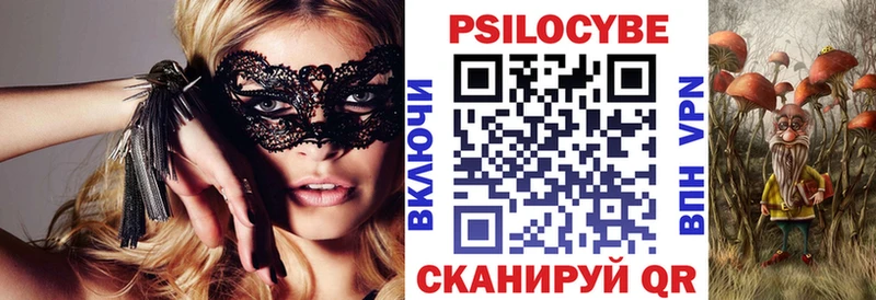 Купить где  Каргополь  Псилоцибиновые грибы Psilocybine cubensis 
