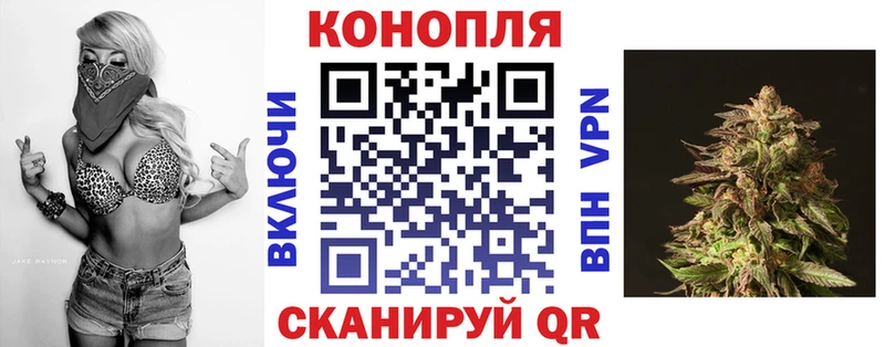 Канабис семена Каргополь